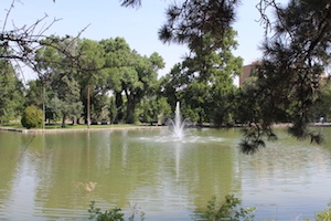 Browse active condo listings in Idlewild Park